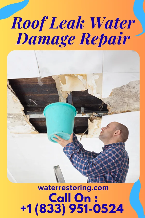 Roof Leak Water Damage Repair in Jones Creek, TX