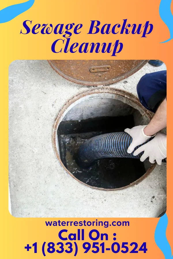 Sewage Backup Cleanup in Jones Creek, TX